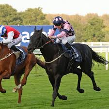 Horse Racing Betting Tips Today – How to Pick Winners, Read Form,  Analyse Going & Bet the Cheltenham Festival, Grand National and  Royal Ascot Like an Expert